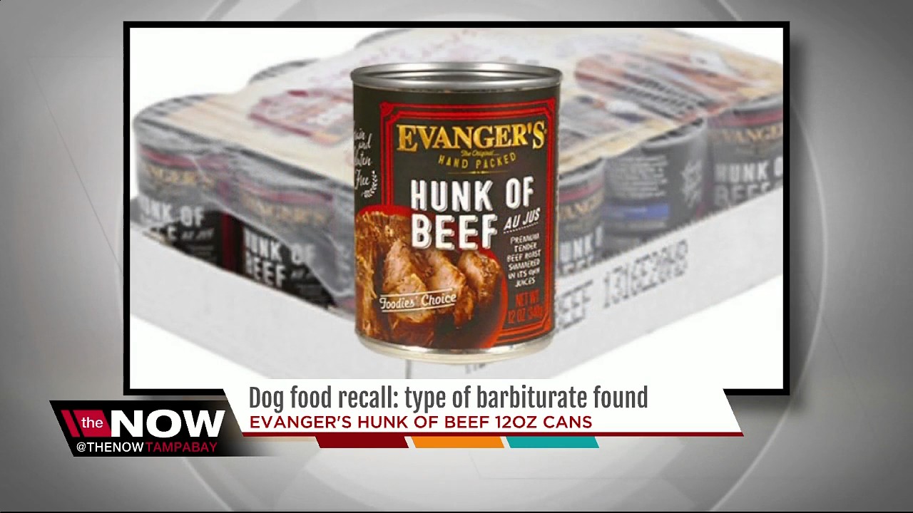 Evanger's pet food sold in Florida recalled due to potential