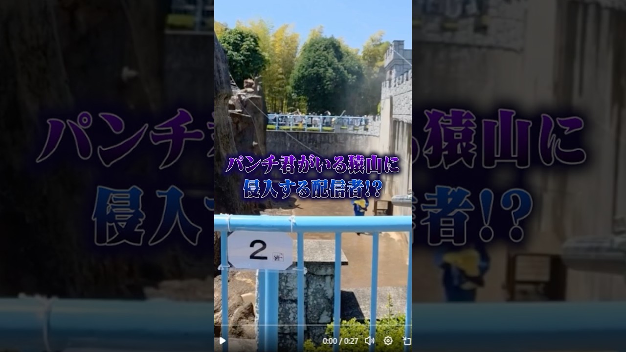 パンチ君のいる猿山に不法侵入する迷惑系配信者!? #ポケカメン