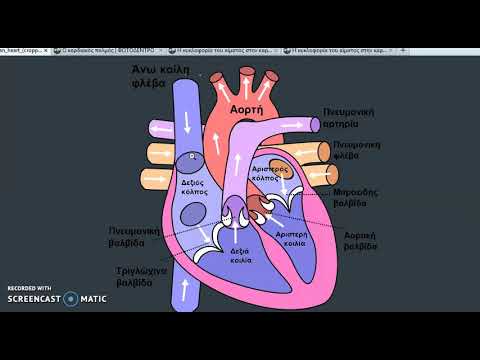Βίντεο: Πώς διαδίδονται τα δυναμικά καρδιακής δράσης στην καρδιά;