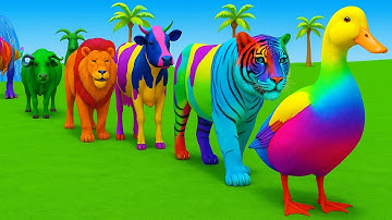 Long Slide Game With Elephant Gorilla Buffalo Hippopotamus Tiger 3d Animal Game Funny 3d Animals