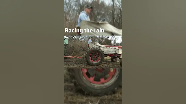 Farmall 560 racing the rain