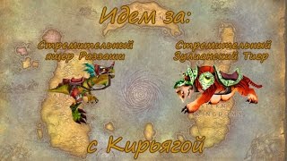 WoW Идем в Зул Гуруб за Зулианским тигром и ящером Раззаши