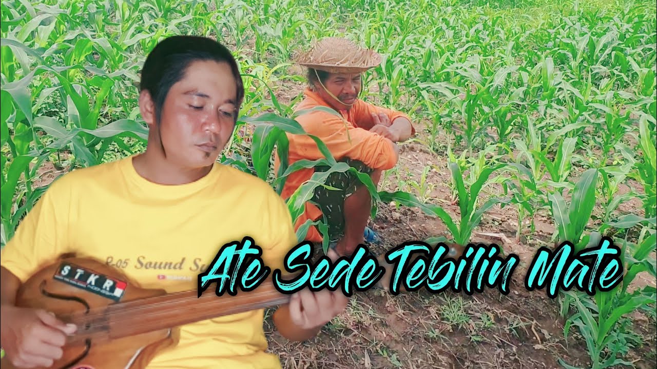 ATE SEDE TEBILIN MATE VERSI GAMBUS TUNGGAL