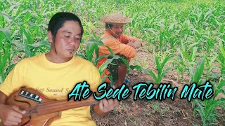 ATE SEDE TEBILIN MATE VERSI GAMBUS TUNGGAL