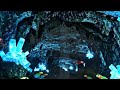 Relaxing Walk Through the Amazon Rainforest | Real Bird & Animal Sounds | 4K Nature Ambience 🌿🦜