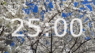 25 Minute Spring Timer with Relaxing Music, Blossom and Alarm