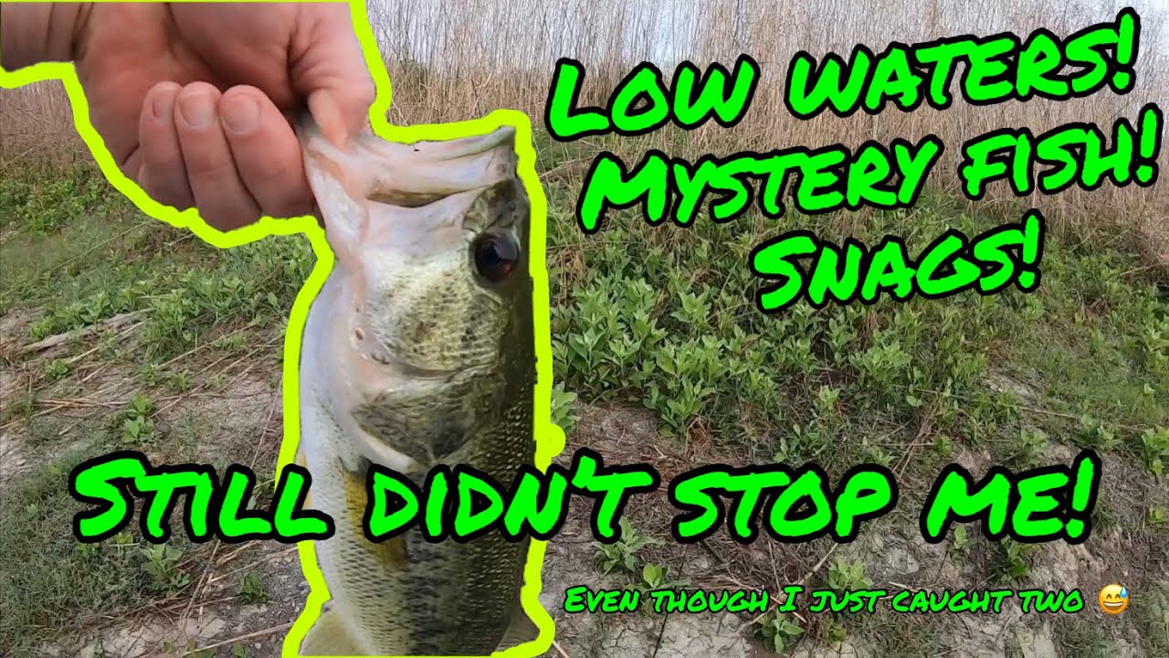 Low water, mysterious fish, snag! Got surprised by a local fishing star
