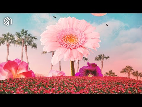Marc Kiss,Crystal Rock,Robin White — Supermarket Flowers