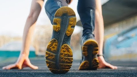 Cardano’s Highly Anticipated Shelley Public Testnet Launches, as ADA