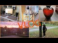 Домашний VLOG /Покупки для дома, прогулка по магазинам, домашние помощники