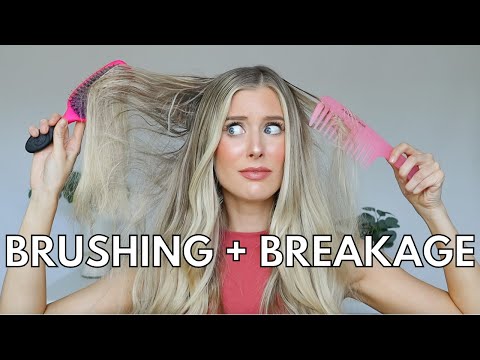 How to Detangle Hair Without Breakage Hair Brushing Hacks  Best Detangler