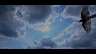 Rainclouds & Sunbeams
