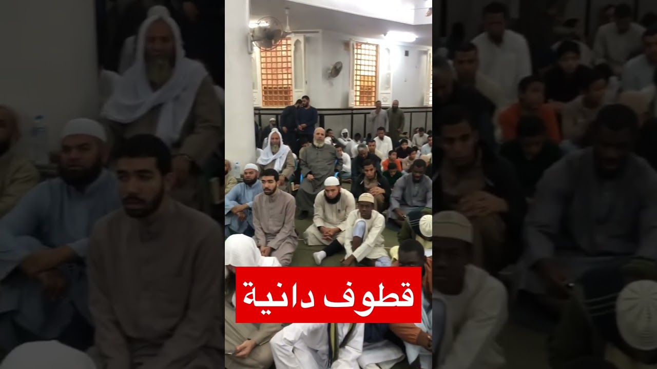 خلاصة العالم #رسلان