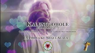 Kalung' ohole (Shafa Auala)
