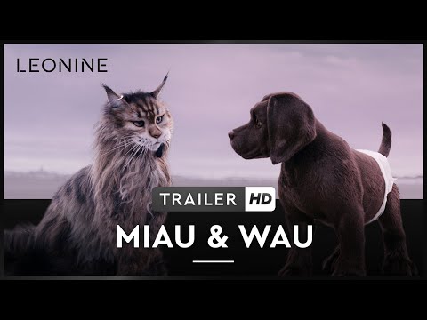 MIAU & WAU - ab 30. Oktober 2025 im Kino! MIAU & WAU - ab 30. Oktober 2025 im Kino!