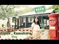 Japan Kamakura Travel Vlog | Hasedera Temple | Japanese Street Food | 日本 鎌倉