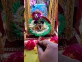 jhula jhulat Bihari Ji Vrindavan mein 💚🌿❤️