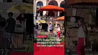 Thumbnail for Harry Styles-fans vullen Vondelpark om hem te zien