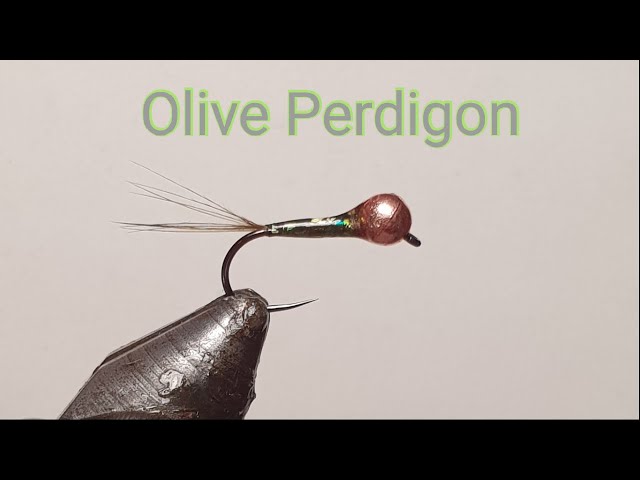 How To Tie A Perdigon, Metallic Olive Perdigon (Nymph)