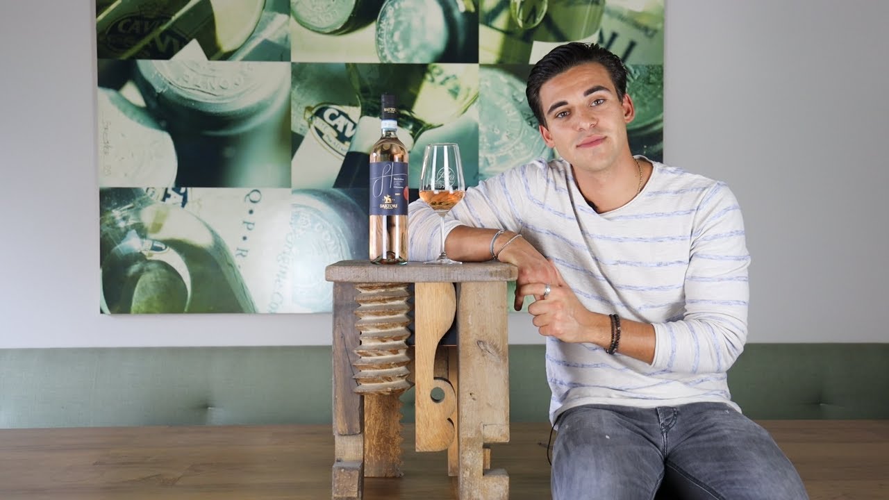 Wein erklärt: Bardolino Chiaretto DOC Sartori Venetien