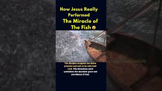 How Jesus Really Did The Miraculous Catch Of The Fish 😱🤯 #Shorts #Youtube #Catholic #Miracle #Fyp