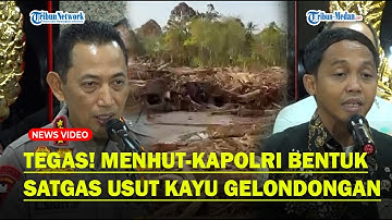KAYU GELONDONGAN Hantam Rumah Warga Saat Banjir, Menhut-Kapolri Bentuk Satgas : Turunkan Personel