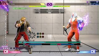 【24時間以内発送】STREET FIGHTER 6 Street Fighter 6 Tracking the Mystery Code: How to solve the
