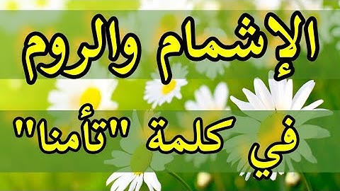 الإشمام والروم "لا تأمنا" كيف تقرأ سورة يوسف ♦️الآية١١♦️