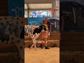 43. Editioun vun der Foire Agricole