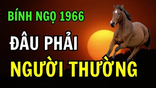 Số Phận Bính Ngọ 1966 – Vì Sao Cả Đời Khổ Đau Nhưng Về Già Lại Đại Phúc?
