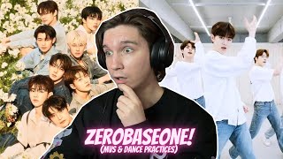 DANCER REACTS TO ZEROBASEONE DEBUT | 'In Bloom' MV & ALL DANCE PRACTICES