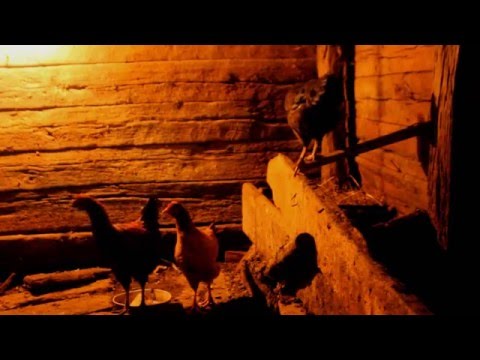 სადღაც სდუმს მთები \"შქმერი\"