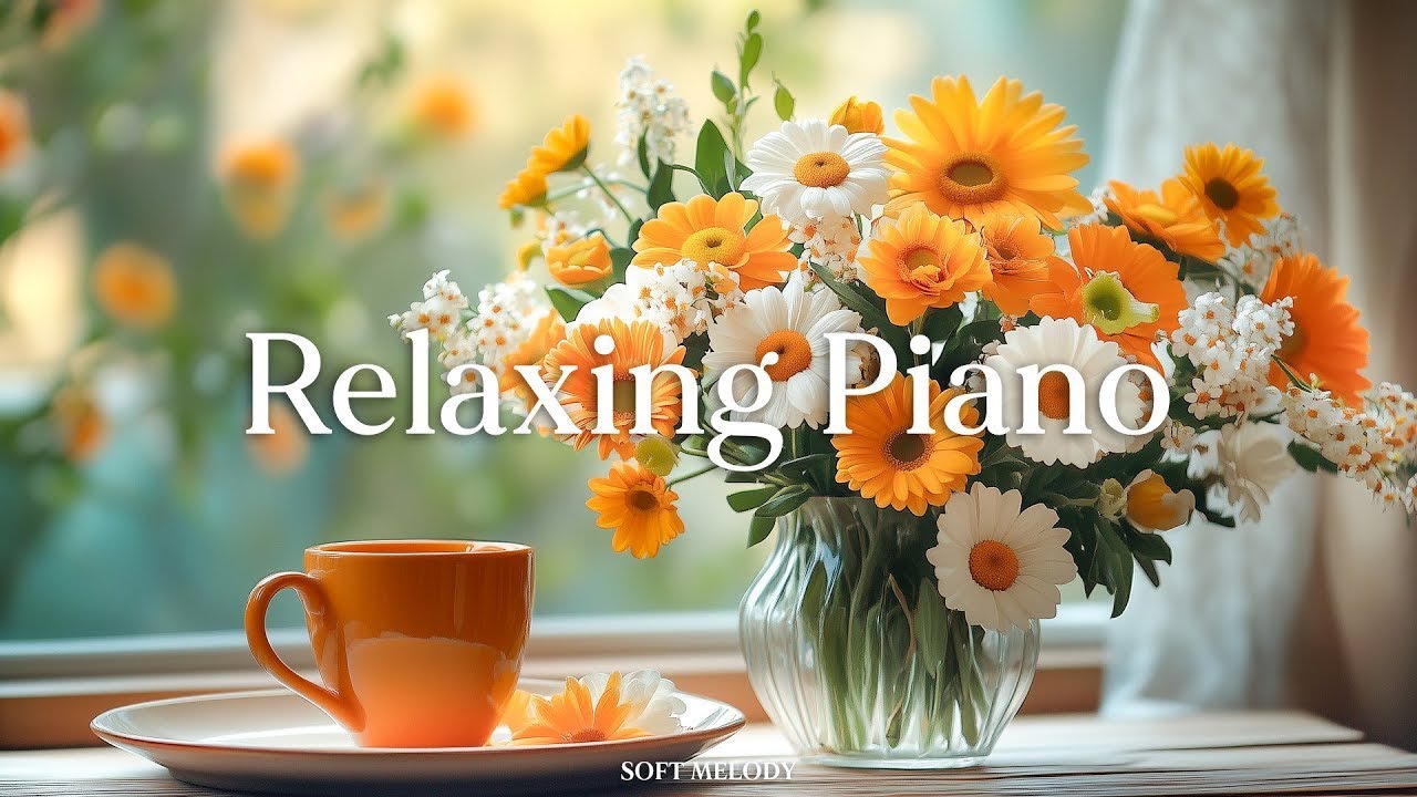 아침 기분 🍀 저와 함께 긍정적으로 하루를 시작해 보세요 Morning mood