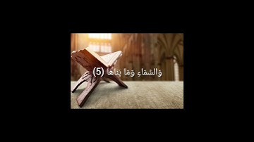 سورة الشمس/ فارس عباد