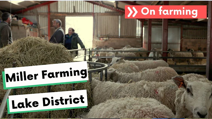 Miller Farming - how food production and environmental improvements work together on our farm