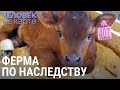 Ферма Елены | ЧЕЛОВЕК НА КАРТЕ