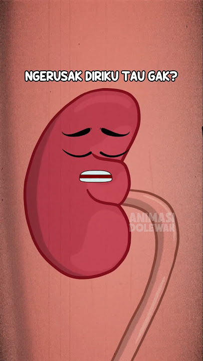 Minum Air Es Merusak Ginjal? #animasidolewak #animasiorgantubuh