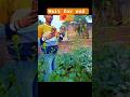 farming reels #edit #nature #explore #farming #kisan #shorts #viral #villagelife #trending #new#song
