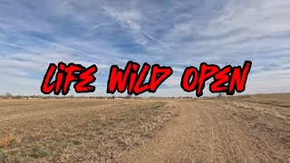 Montana Long Walks With My American Akita by Life Wild Open ® 210 views 5 months ago 5 minutes, 39 seconds