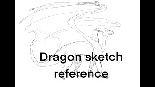 Dragon sketch for reference