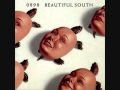 Beautiful South - 36D