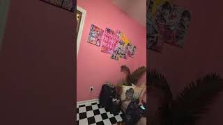 This is the Airbnb we stayed at in Jersey City New Jersey jerseycitypinkspot