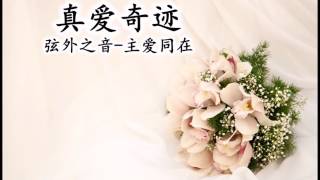 真爱奇迹 伴奏