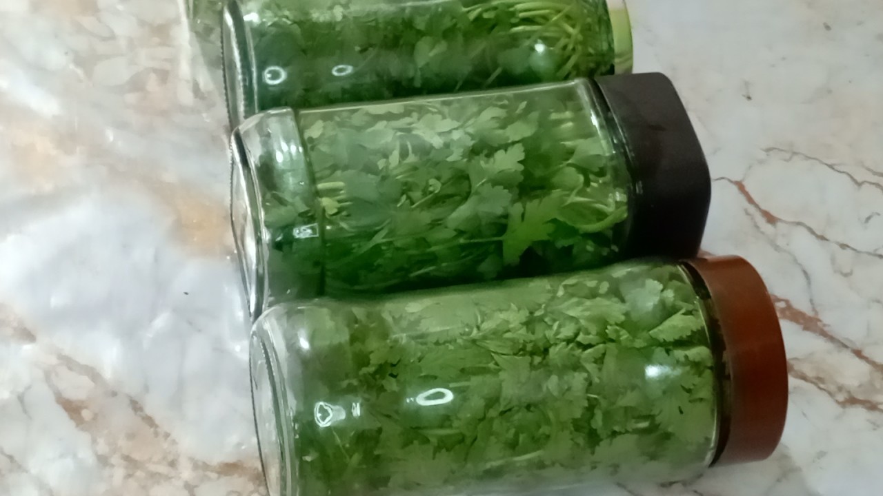 تدبيرة على السريع لرمضان وغير رمضان الاحتفاظ بالمعدنوس والقصبر(الدبشة)