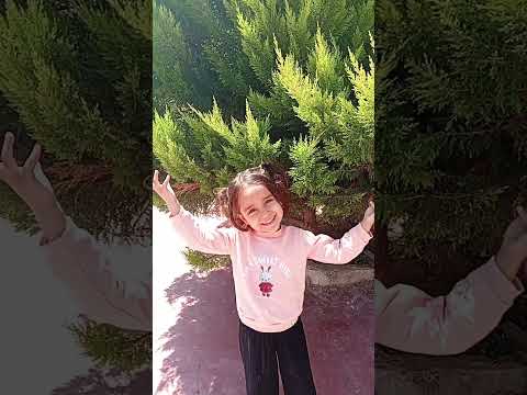 بص البت بتعمل ايه ترند فلسطين ضحك  اشتراك لايك السعودية اكسبلور جود وكنان وشام