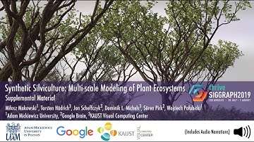Synthetic Silviculture: Multi-scale Modeling of Plant Ecosystems