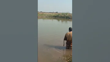 Fishing Caght From Ocean Jaal Ky Sath Machli Kasy Pakryn Youtubeshort 