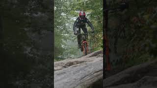 Send It Neko!