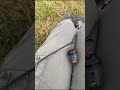 Molto semplice #fishing #shortvideo #feedshorts #feeder