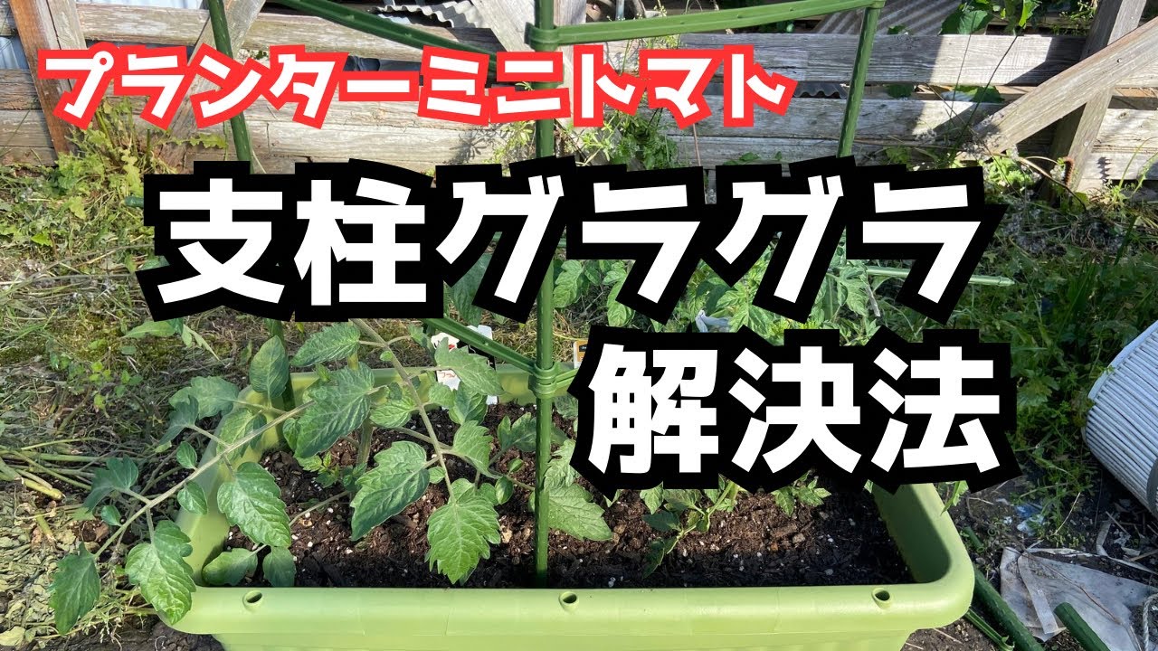 【プランターミニトマト】支柱の組み方「家庭菜園」